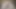 I Fuck Exchange Student Classmate Then Cum on Her Pussy