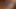 3D قرنية تأثيري ناضجة جبهة مورو الإسلامية للتحرير لديها أول مرة لها الجنس الثلاثي