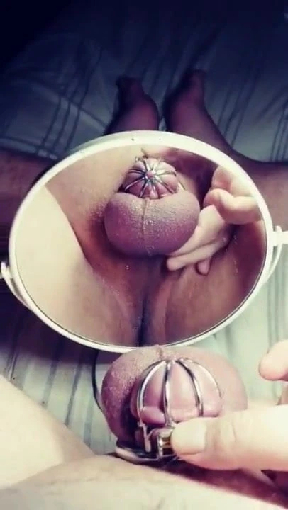 chastity display