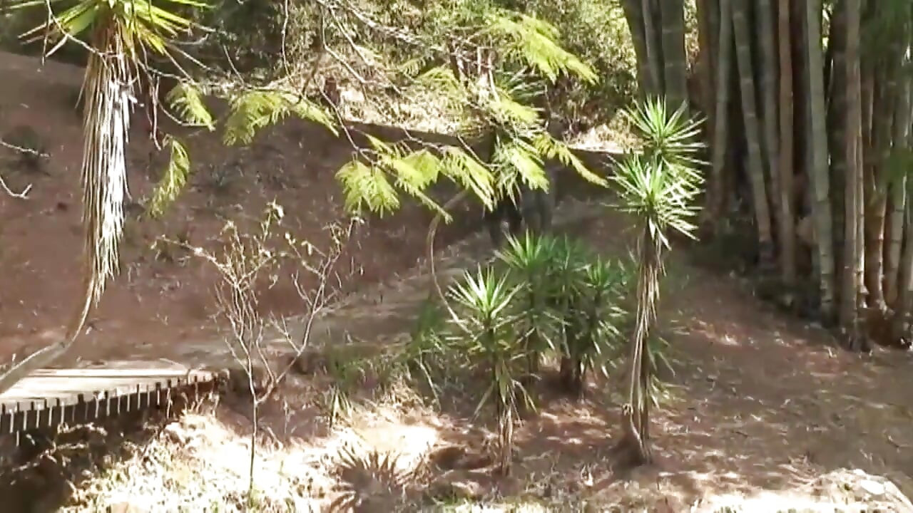 Gay hunks play with their anuses.. (no condom)