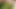 Naked Girl