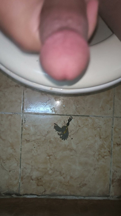 Big cute dick masturbate