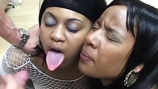 Африканские свиньи