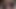 Young Woman Fucked by a BigFoot