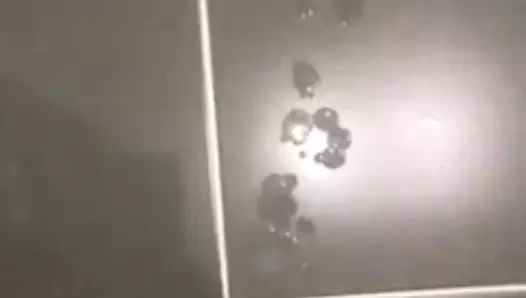 XXXXXXXX