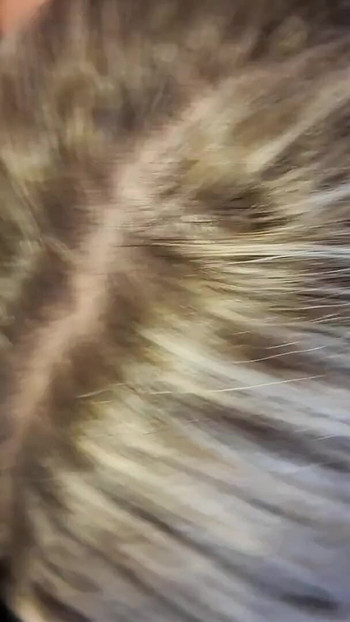 Prvo Baklava, a zatim seks - turska amaterska pornografija | Klip 2