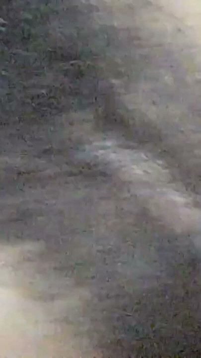 Desi village girl doggy hard core | Clip 1