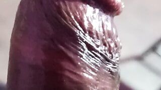 比哈尔瓦拉德西隆德印度阴茎闪烁的大阴茎