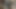 サバナの膣はチンコの中出しを受けられる