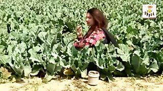 Desi Bhabhi has funny affair in fields