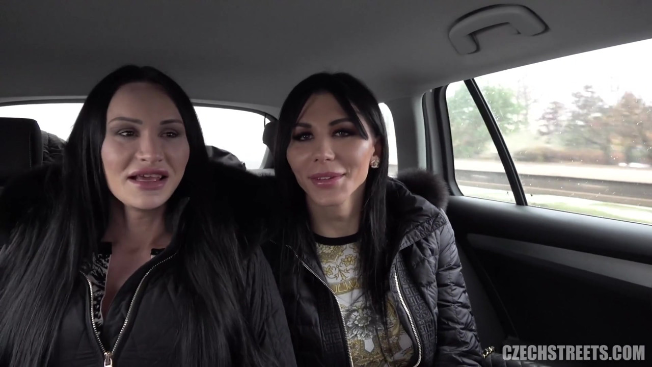 チェコの街 - ディックスとひよこ