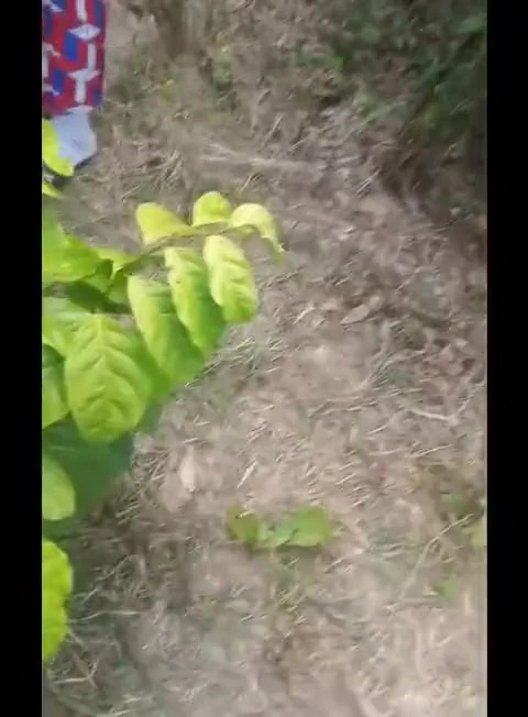 Bir üç biraz çalı takılıyor bölüm 2