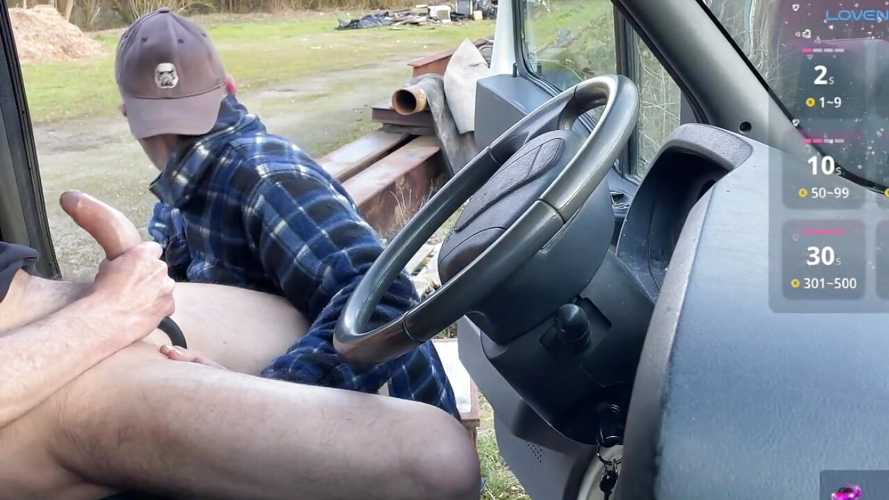 Sunny Day Car Encounter