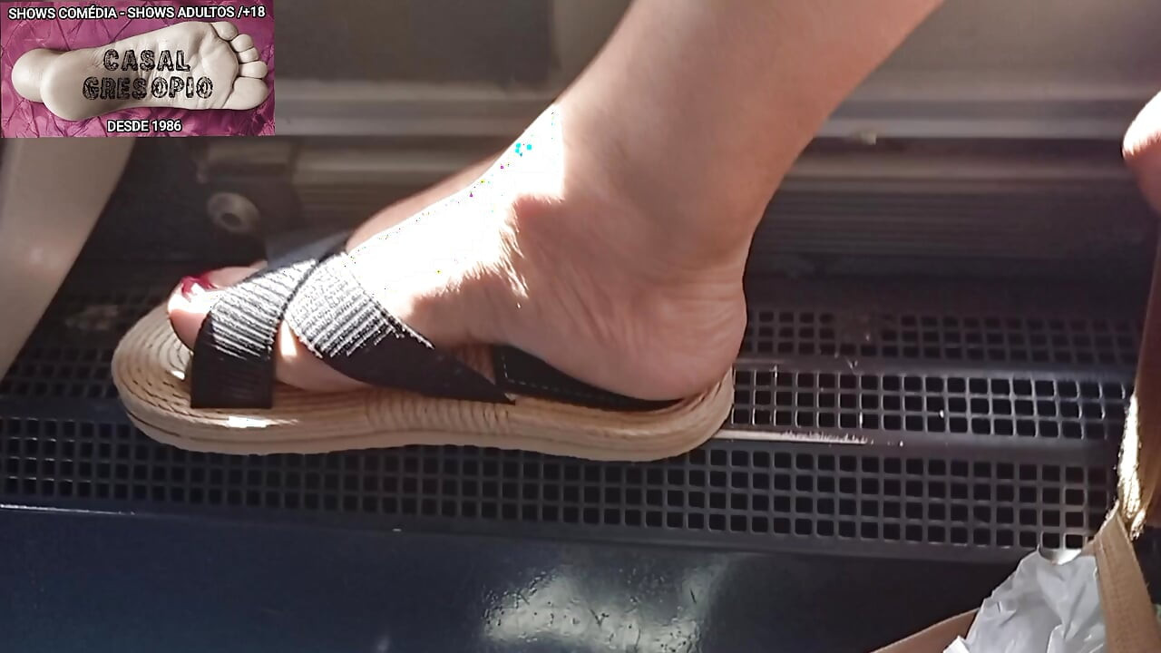 PUBLIC TRANSPORT 14