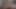 Bugünden itibaren vahşi hayal gücümle yükselmeye devam ediyorum - c