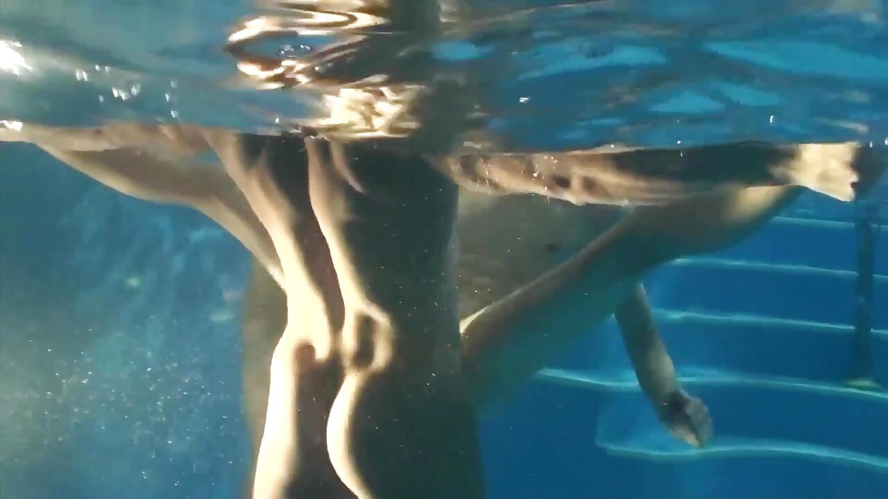 Exkluzivní video bez sedla: Žhavý sex u bazénu s pohledným kusem a sexy nadrženými kluky