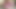 Tittyfucked beauty strokes huge cock