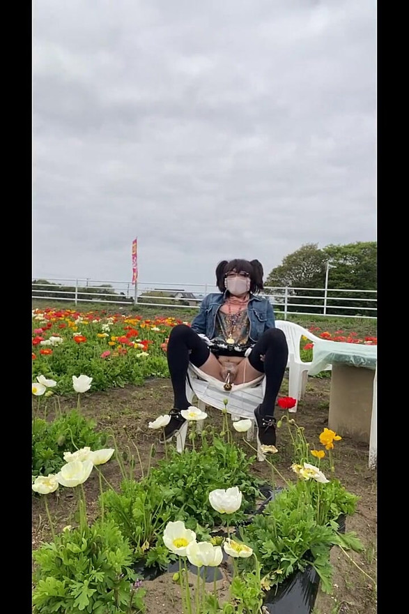 No. 195 Exposing My Pussy in a Flower Field