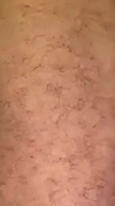 激烈和无情的深喉