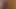 ayı cums sert içinde slowmotion