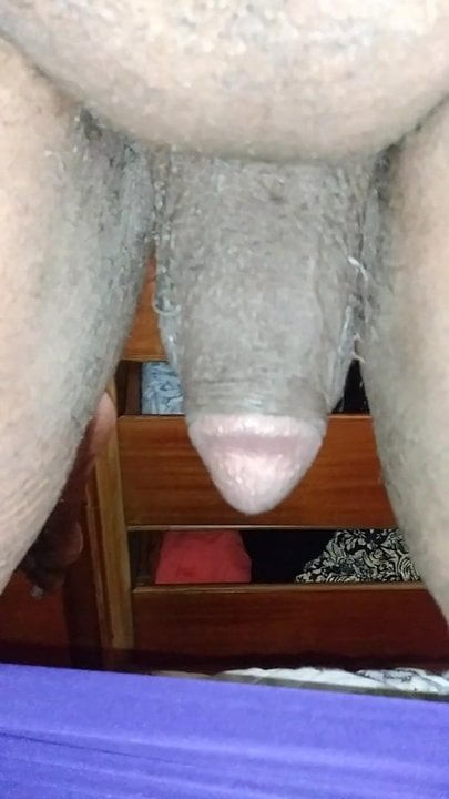 Cock