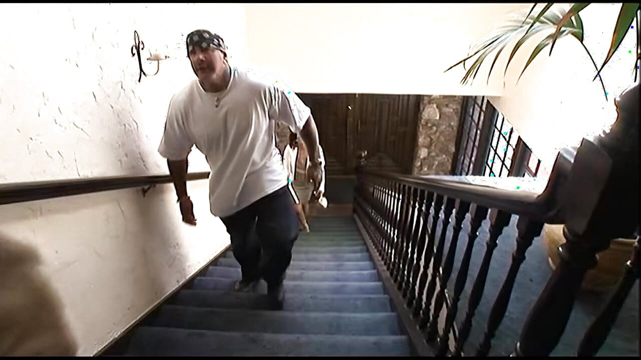 Chocolate caliente! ¡Los coños negros calientes se estropean tanto!