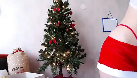 Menghias Pohon Natal Live