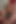 Orta yaşlı seksi kadın koç ve yaşlı müdür adam latin öğrenciyi baştan çıkarıyor ve onu sert sikiyor