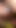 Must-see moment from "Indian Hot Tamil Desi Bhabhi Hardcore Sex after Long Time Using Oil for Big Cock get Creampied with"