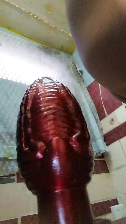 딜도 대물