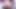 Bubble booty femboy twerks and spreads bussy