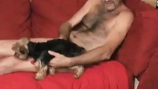 Шоу для европейцев