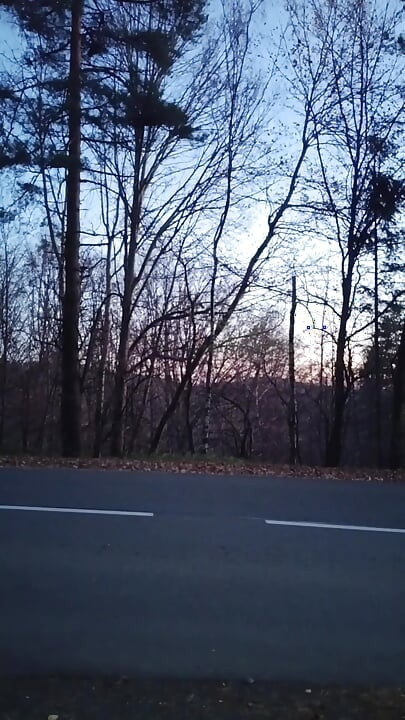 I Was Caught Masturbating in Public by a Stranger