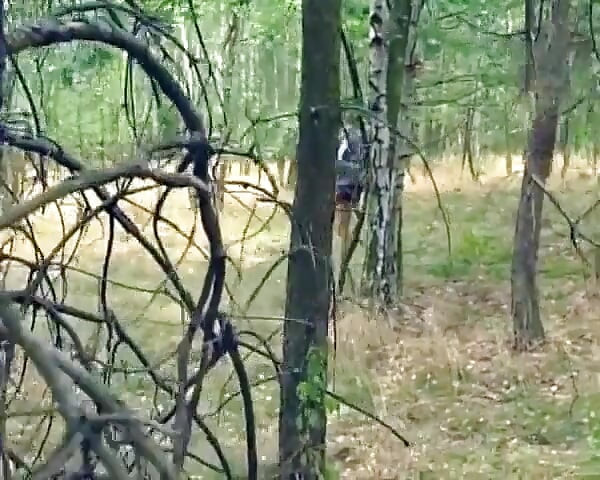 जर्मनीची नॉटी कॉलेज बाई जंगलात चोखताना