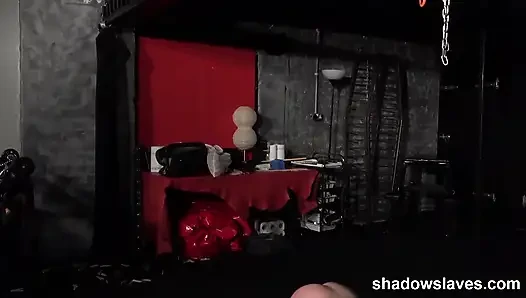 Введение Louise Red