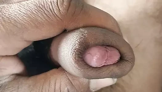 Pani pani murga