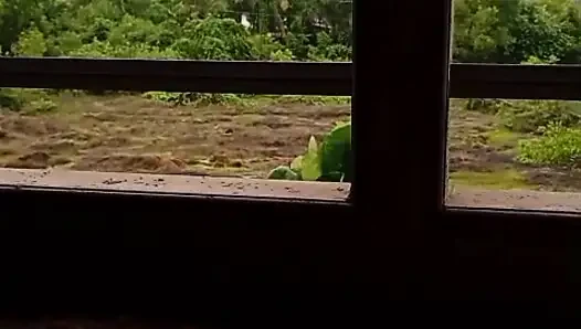 My wife pissing & big boobs
