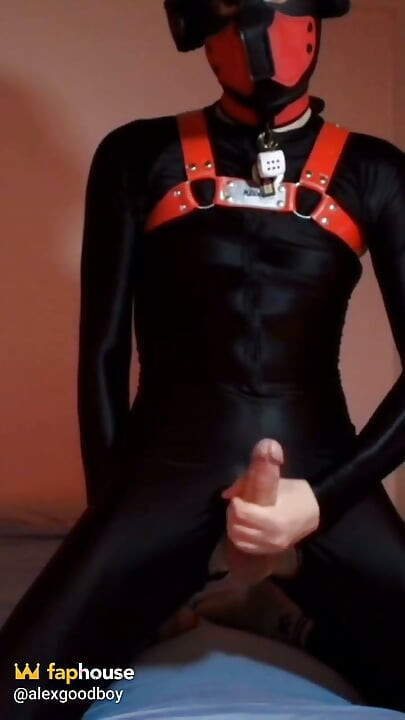 Needy Puppy Jerks His Cock on His Knees