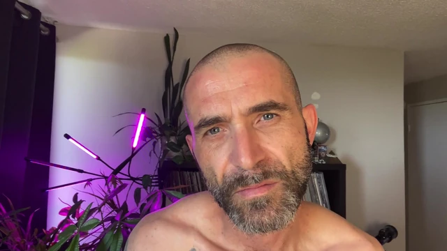 It’s your turn to get bred by verbal stepdaddy