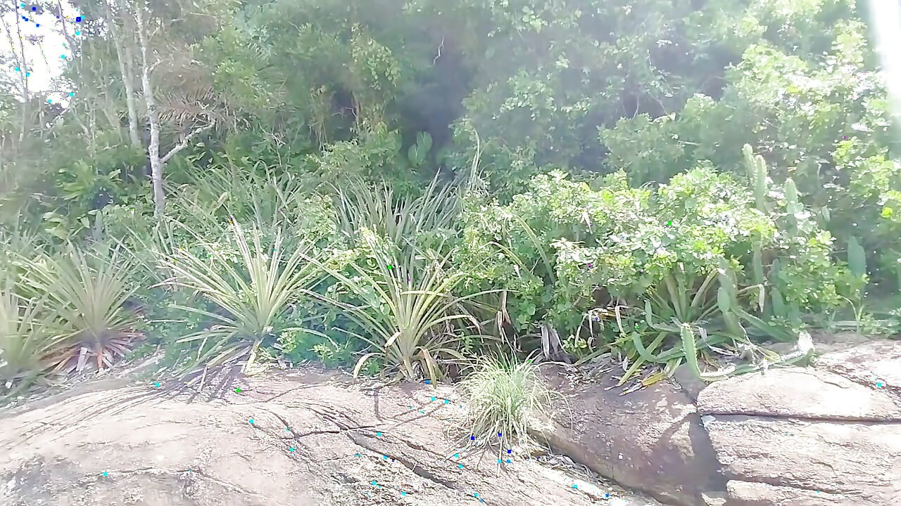 我在海滩上的岩石上炫耀, 渔夫差点抓住了我.