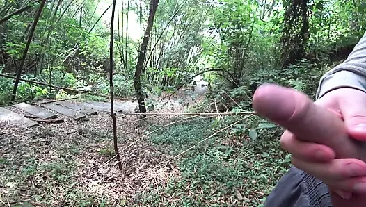 DICK FLASH IN PARK. A stranger caught me jerking off and helped me cum