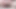 fat sissy pig small cock premature ejaculation