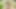Big Boobed Next Door Girl plowed by old fart
