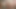 痩せた女の子が巨大なペニスを2本しゃぶり、それを口に突き刺す。射精