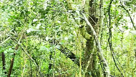 Ağaç tepelerinde sikilme