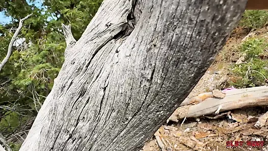 Schlampe Hunt ep.6: ravyn wird mit sperma gefüllt