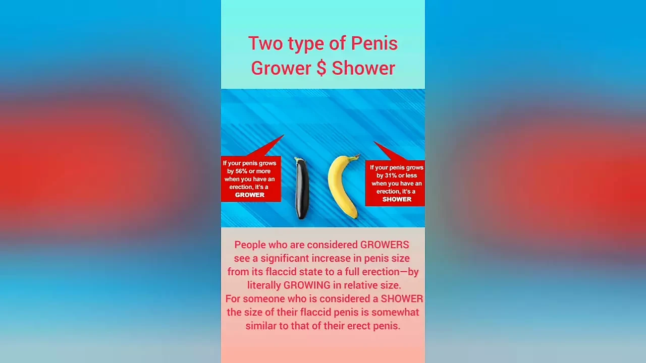 About the Male Penis Tyeps of Penis
