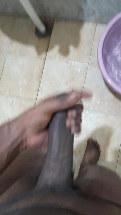 Cock