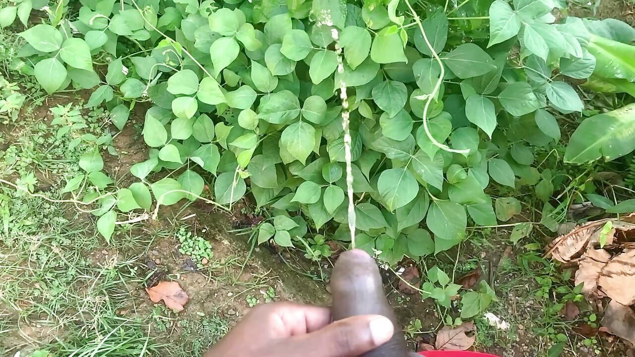 Pissing in Public Desperate Male Streams