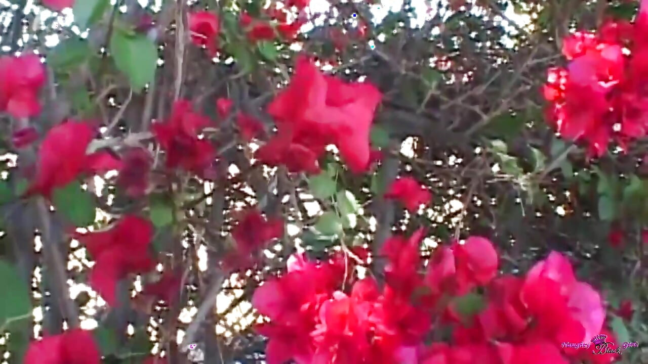 この赤毛の美女はフェラチオに来たけど、完全にチンコにぶち壊されてしまった